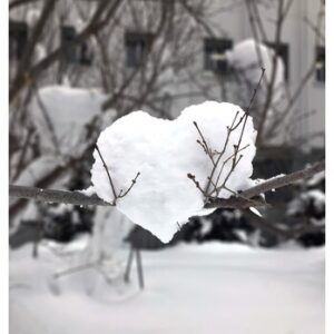 年末年始のご予約はお早めがオススメです♪